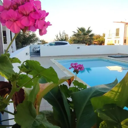 Thalassa Seaside Boutique