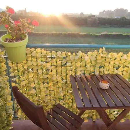 Thalassa Seaside Boutique Polis