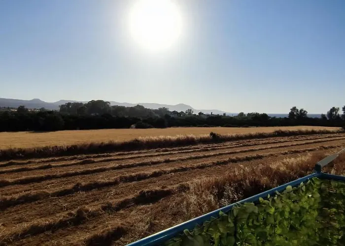 Apartament Thalassa Seaside Boutique Polis